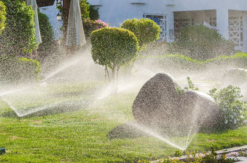 lawn sprinkler